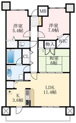 セレッソコート光明池ステーションシティの物件間取画像